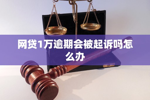 网贷1万逾期会被起诉吗怎么办