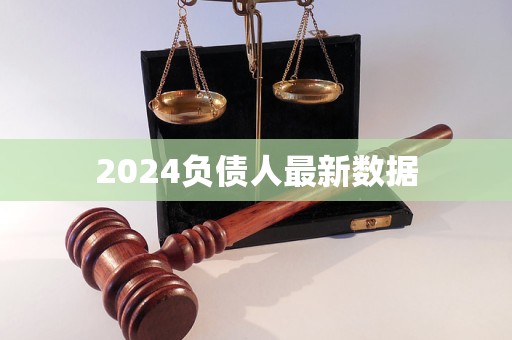 2024负债人最新数据