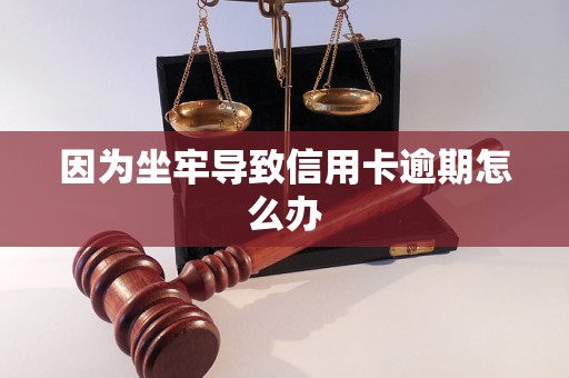 因为坐牢导致信用卡逾期怎么办