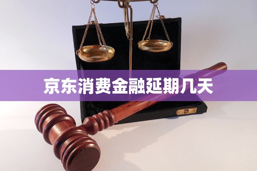 京东消费金融延期几天