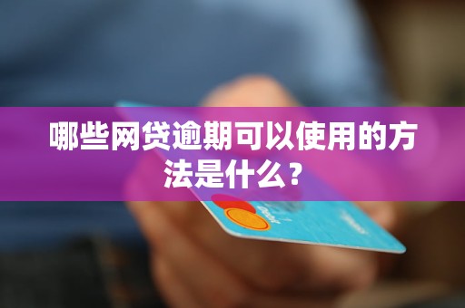 哪些网贷逾期可以使用的方法是什么？