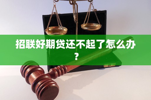 招联好期贷还不起了怎么办？