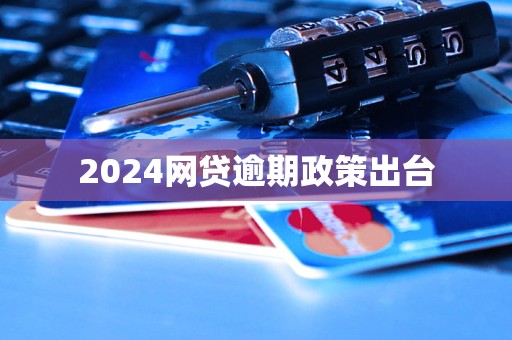 2024网贷逾期政策出台