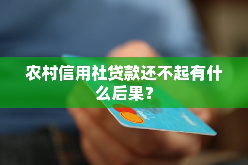 农村信用社贷款还不起有什么后果？