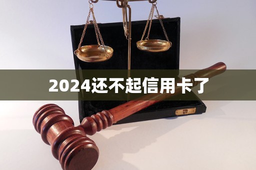 2024还不起信用卡了