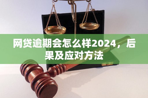 网贷逾期会怎么样2024，后果及应对方法