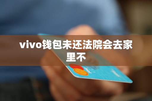 vivo钱包未还法院会去家里不