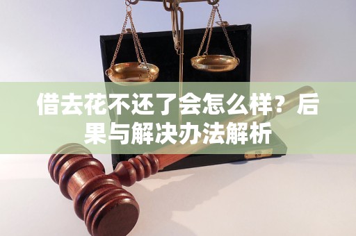 借去花不还了会怎么样？后果与解决办法解析