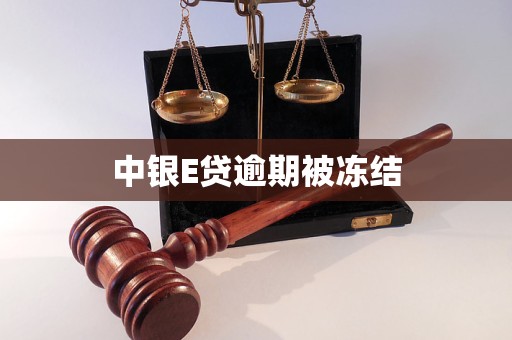 中银E贷逾期被冻结