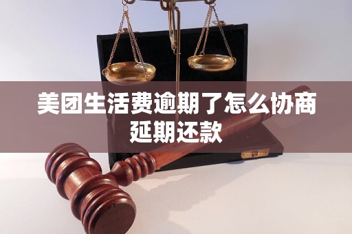 美团生活费逾期了怎么协商延期还款