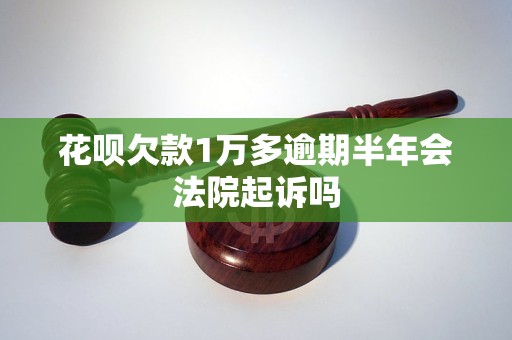 花呗欠款1万多逾期半年会法院起诉吗