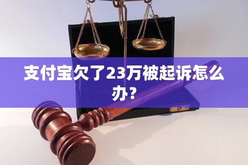 支付宝欠了23万被起诉怎么办？