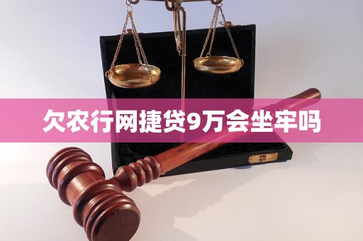 欠农行网捷贷9万会坐牢吗