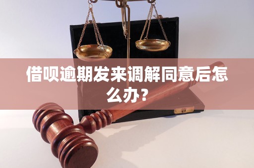 借呗逾期发来调解同意后怎么办？