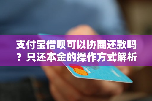 支付宝借呗可以协商还款吗？只还本金的操作方式解析