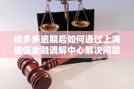 桔多多逾期后如何通过上海银信金融调解中心解决问题