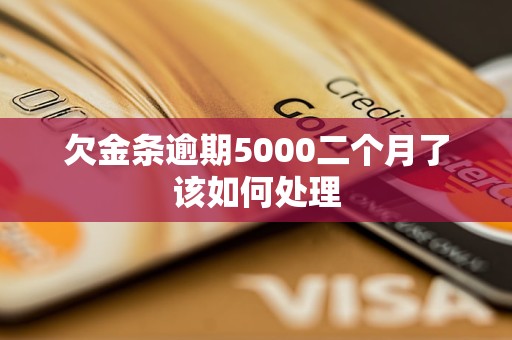 欠金条逾期5000二个月了该如何处理