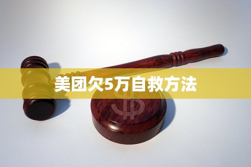 美团欠5万自救方法