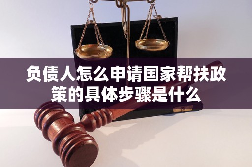 负债人怎么申请国家帮扶政策的具体步骤是什么